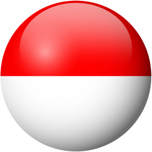 IDR Indonesian Rupiah