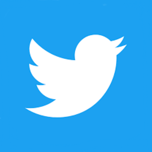 Twitter icon option